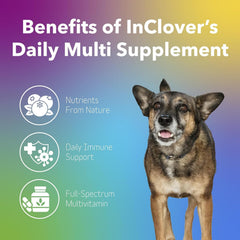 In Clover Daily Multi seaweed image showing minerals and omega fatty acids for vitality
