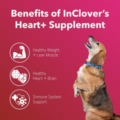 In Clover Heart+ dosing scoop pouring illustrating easy daily administration