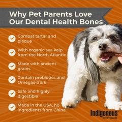 Indigenous Dental Health Bones carrot pumpkin serving size, clear portion guidance for dogs