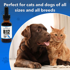 Infinite Health Labs Liquid B12 cats serving supports appetite during meals.