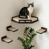 INICIO cat wall shelves safe sturdy perch on wall for climbing and lounging