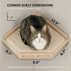 INICIO cat wall shelves three-step climb encourages playful exploration.