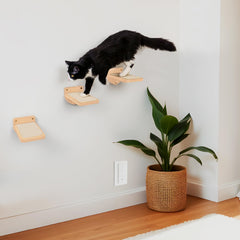 INICIO cat wall stairs natural wood finish blends with home decor