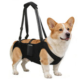INKNOTE dog lift harness pocket-side for hands-free carry and essential phone storage.