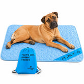 Inspectortail self cooling mat in blue, front view, showing cooling comfort for pets