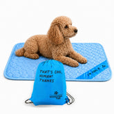 Inspectortail Self Cooling Mat on a living room floor for dog comfort and airflow.
