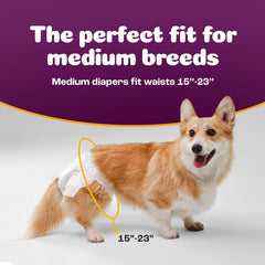 Inspire Pet Care dog diapers with high absorption for accidents and leaks