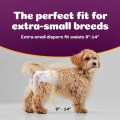 Bulk 50-count Inspire Pet Care dog diapers for easy replacements.