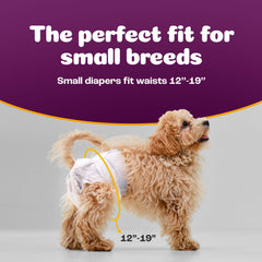 Inspire Pet Care dog diapers heat coverage protects during heat cycles