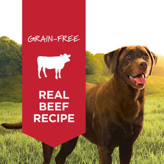 Instinct Original beef-first formula promotes protein-rich meals for dogs.