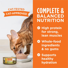 Instinct Original Pate salmon closeup showcases wild-caught protein with rich flavor