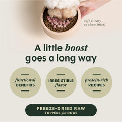 Instinct RawBoost freeze-dried raw nuggets showing peak freshness and convenience