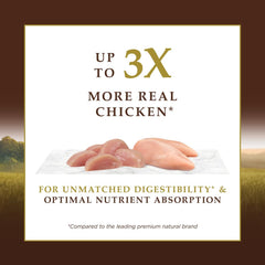 Instinct Ultimate Protein kibble closeup highlights grain-free formula and protein-packed bites.