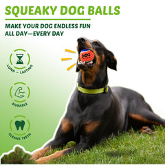 INSUM built in squeaker ball, securely enclosed to prevent swallowing.