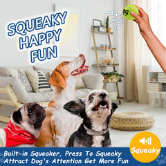 Non-toxic INSUM squeaky balls offer safe chewing and reliable bounce.