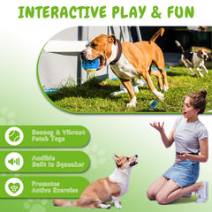 INSUM medium squeaky tennis ball for dogs, 2.5 inches, ideal for fetch.