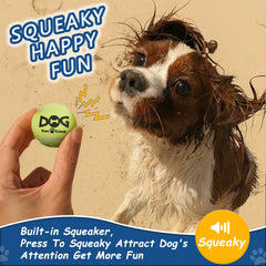 INSUM non-toxic natural rubber ball provides safe, durable play for dogs.