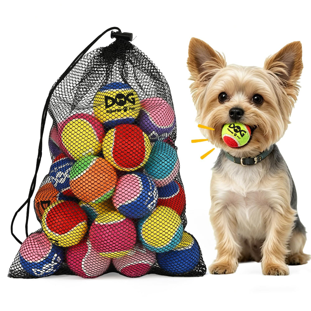 INSUM squeaky ball 2-inch, ideal for small dogs, safe play.