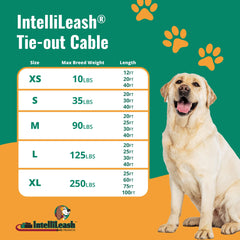 IntelliLeash PVC-coated cable resists weather and wear for long-lasting use.