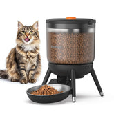 Invengo feeder with top panel control, easy feeding at a glance.