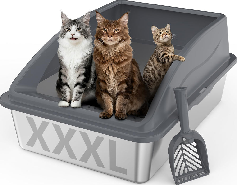 INVENHO extra large XXXL litter box top view shows spacious interior for big cats