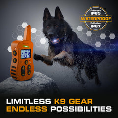 INVIROX 124 training levels offer gentle progression for tailored training