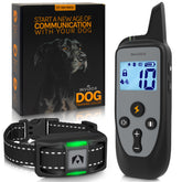 INVIROX 2026 edition dog collar on a dog for durable outdoor training