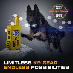 INVIROX Ultra K9 night-light mode keeps your dog visible on low-light walks