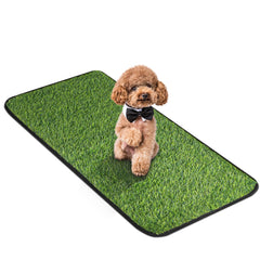 InwodiTeki artificial grass mat front view with lush turf for pet training.