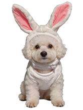 IOICYBF White Bunny pet costume for small dogs and cats, cozy warmth