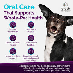 ioVet Oral packaging highlights simple instructions and product benefits.