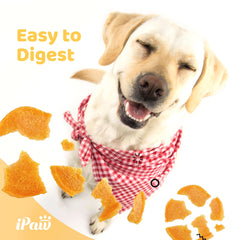 iPaw Chicken Chips close-up taste test emphasizes high palatability.
