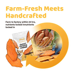 ipaw sweet potato chews featured with a dog playing, showcasing easy-digest chew