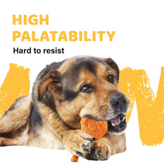 IPaw Turkey Tendon dog enjoying chew promotes engaging, dental-health-friendly play.