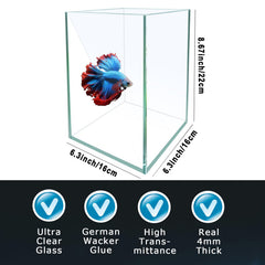 ipriro Betta aquarium with LED light highlights colors for a bright display