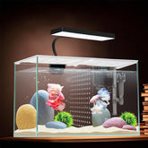 iPriro Betta nano tank wide view highlights compact design for small fish setups.