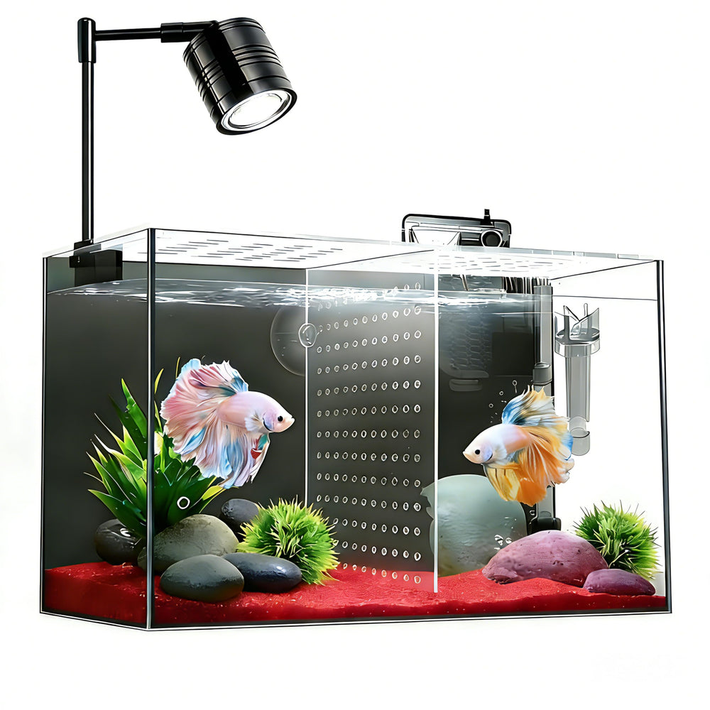 ipriro betta separator plate enables two-bettas setup in a compact tank.