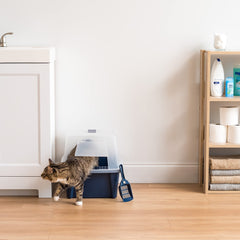IRIS USA litter box with clip-on scoop for quick cleanup.