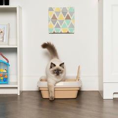 IRIS USA Cat Litter Box Smooth Interior β quick, hassle-free cleaning.