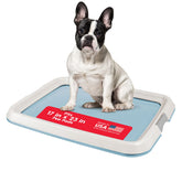 IRIS USA Pee Pad Holder with a durable tray keeps 17x23 pads secure.