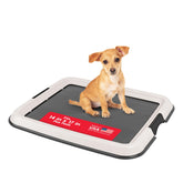 IRIS USA pee pad holder with secure latches for stable training pads