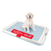 IRIS USA Pee Pad Holder with secure latches keeps training pads in place.