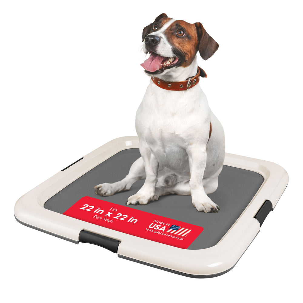 IRIS USA Pee Pad Holder with secured latches keeps pads in place.