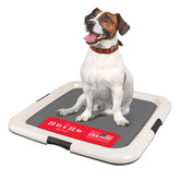 IRIS USA Pee Pad Holder with secured latches keeps pads in place.