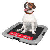 IRIS USA Pee Pad Holder tray front view showing sturdy, easy-to-clean training space