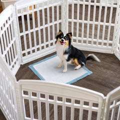 IRIS USA puppy pads 22x22 bulk-pack for hassle-free training