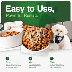Iron Paws greens ingredients close-up with spinach and wheatgrass for natural nutrition