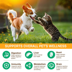 IRSRDOQU bacon-flavor pet treat for easier feeding and palatability.