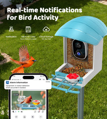 IUUZEUL Bird Feeder at night offers 2K color detail of visiting birds.