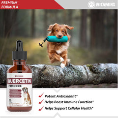 iVitamins Quercetin for Dogs bacon flavor drops appealing to pets during dosing